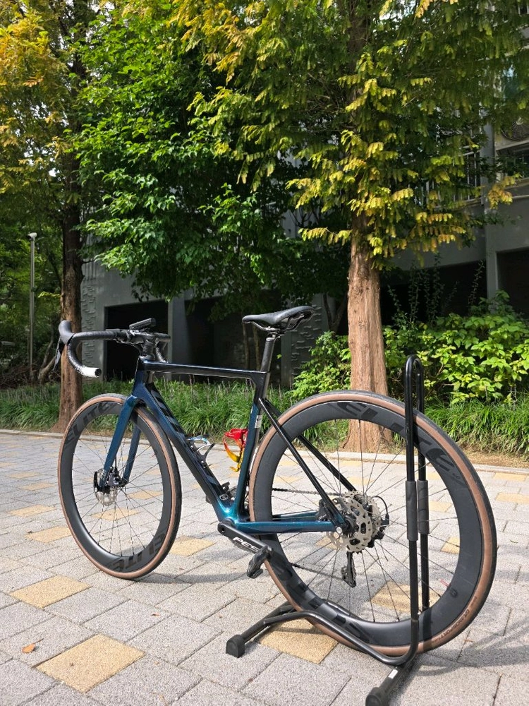 24첼로 케인d8 이미지