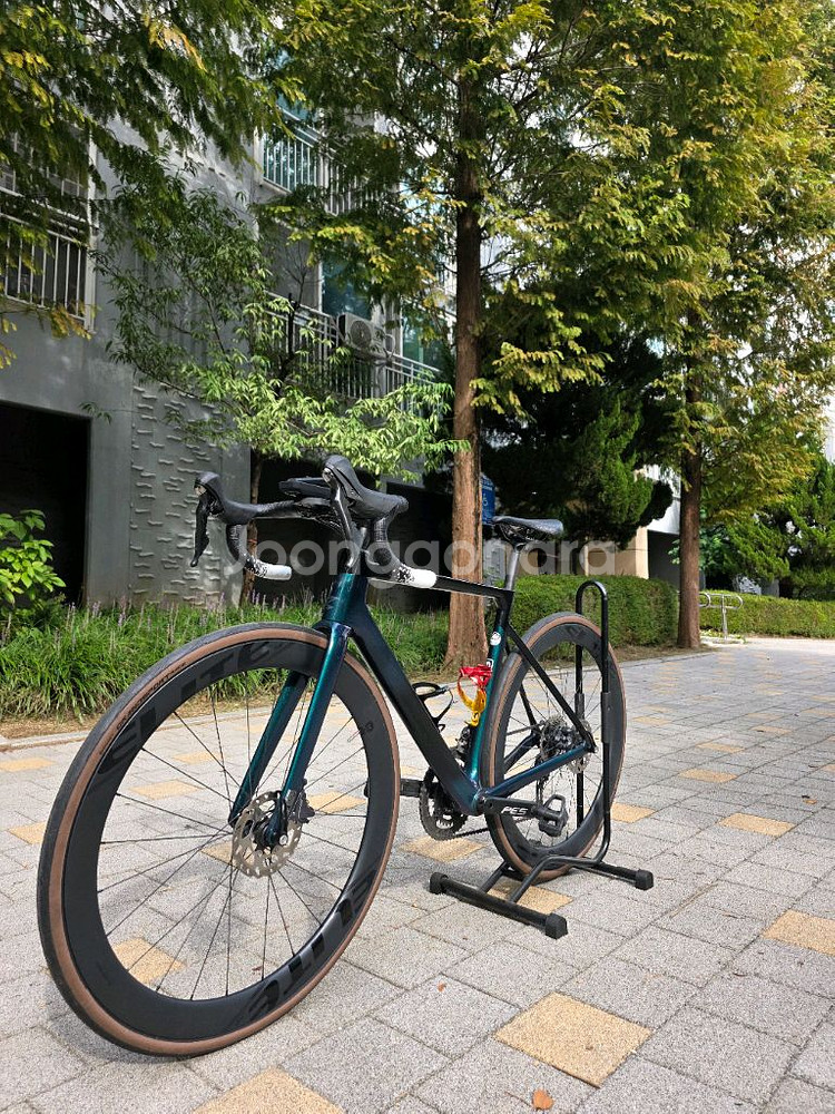 24첼로 케인d8--4