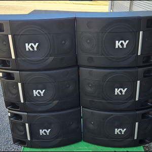 금영 KSP-350 8인치 중고스피커