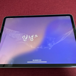 아이패드 프로 11 (3세대) 512 셀룰러+충전기+매