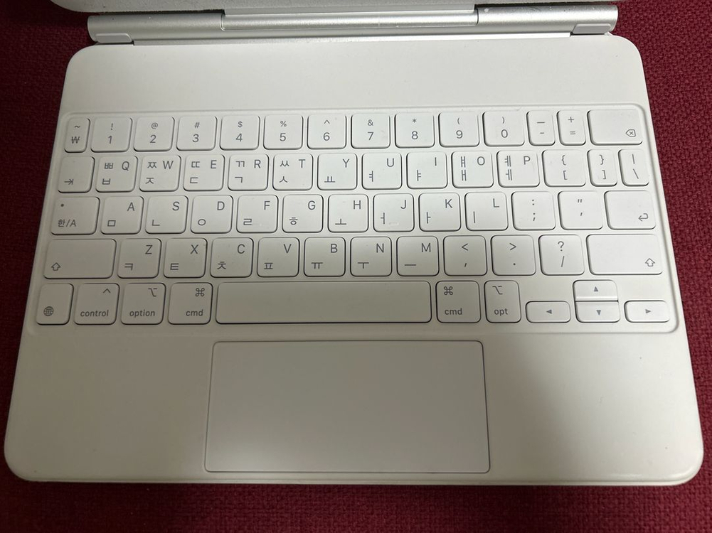 아이패드 프로 11 (3세대) 512 셀룰러+충전기+매 이미지