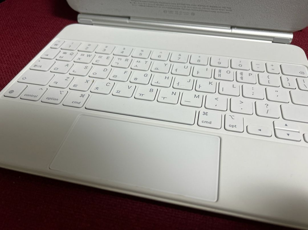 아이패드 프로 11 (3세대) 512 셀룰러+충전기+매 이미지