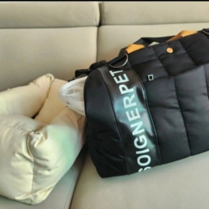 상태최상급 !! 강아지 이동가방 팝니다. 비행기반입가능