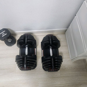 무게조절 덤벨