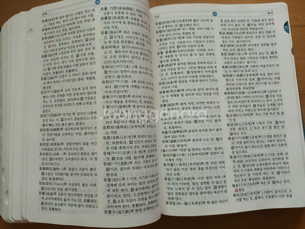 동아 연세초등 국어사전--2