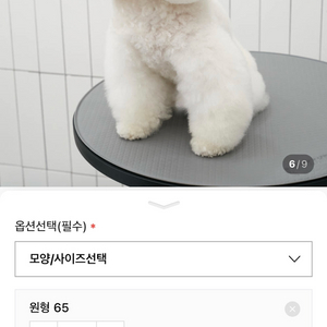 배러그루밍 애견미용 테이블매트