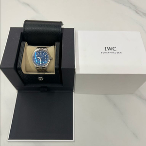 iwc 파일럿 워치 파크 XX