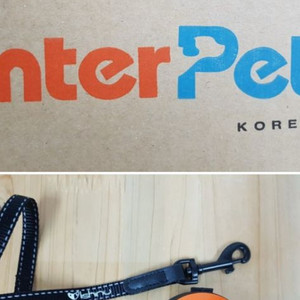 리쉬인유 손목자동줄