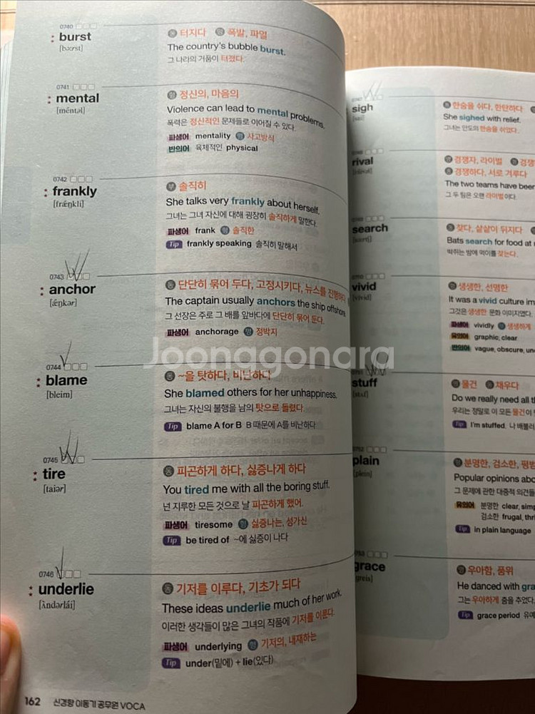 2025 이동기 보카 택포 8,000--1