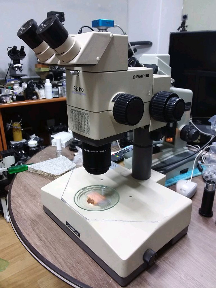 올림프스 실체현미경 싸게판매합니다 이미지