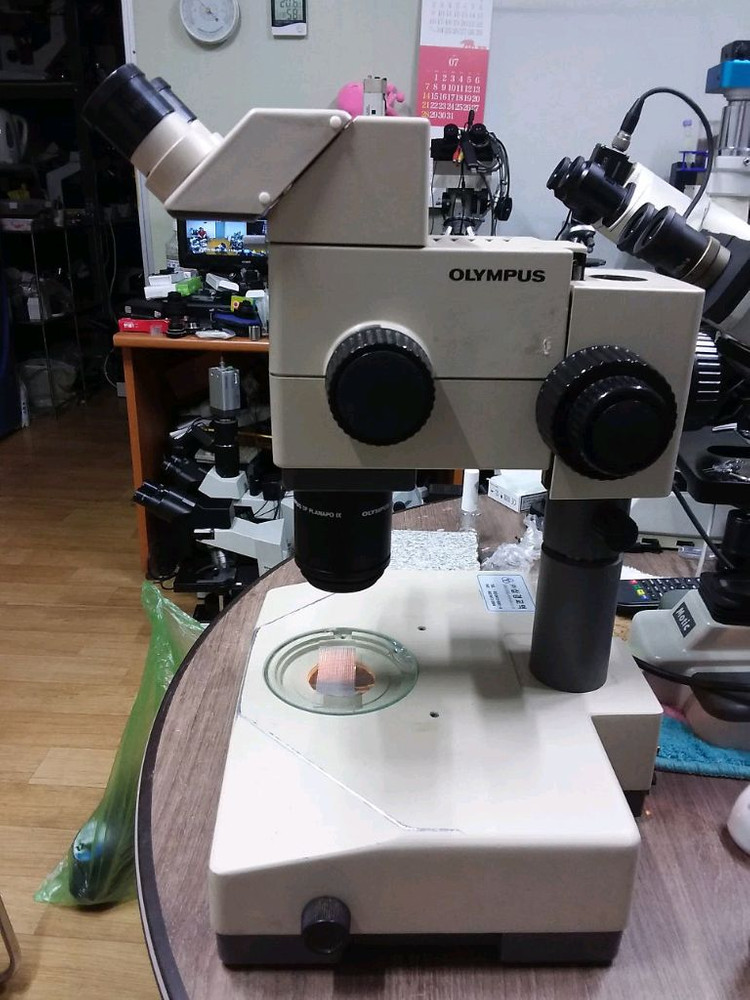 올림프스 실체현미경 싸게판매합니다 이미지