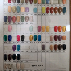 피오떼젤 (네일/새상품)