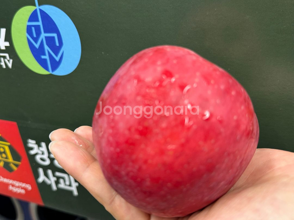 청송홍로사과5키로(박스무게포함)--0