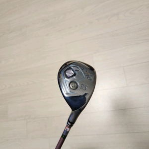 젝시오여성유틸5번 MP800K, L