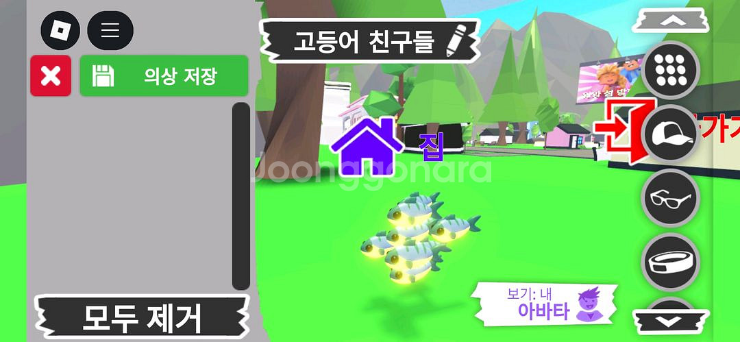 입양하세요 펫 메가네온 고등어 친구들(메고친) 판매합니--3