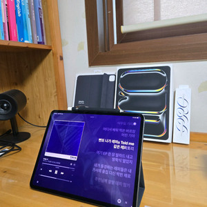 아이패드 프로 13 m4 256g wifi+케이스+펜슬