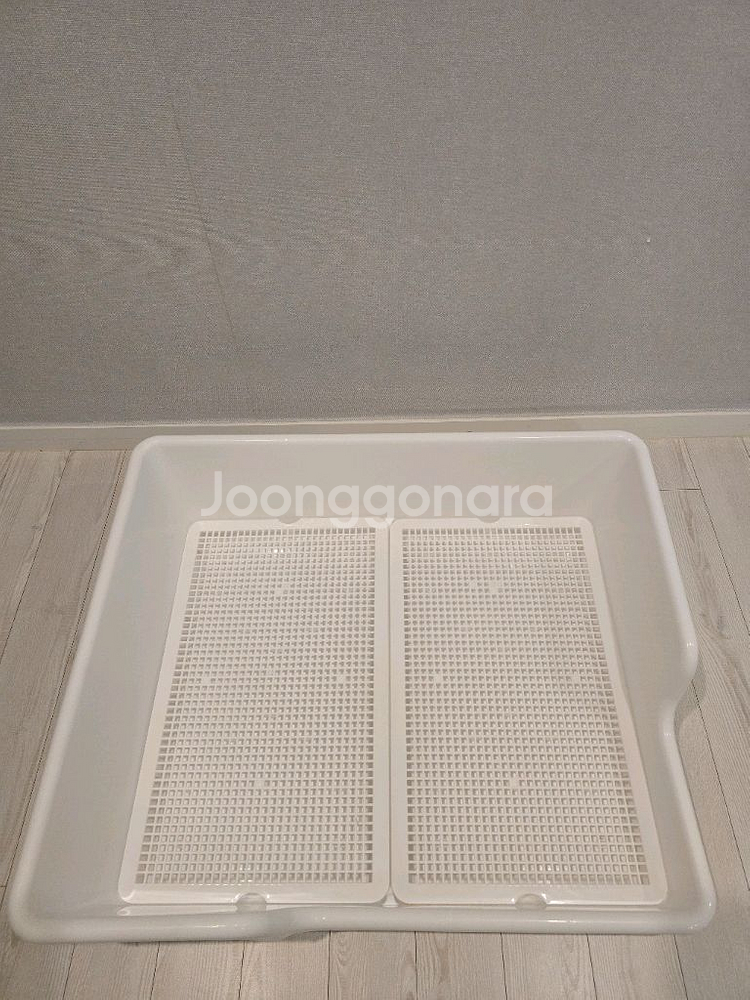 강아지배변판--2