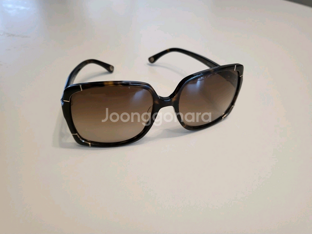 마이클코어스 선그라스--0