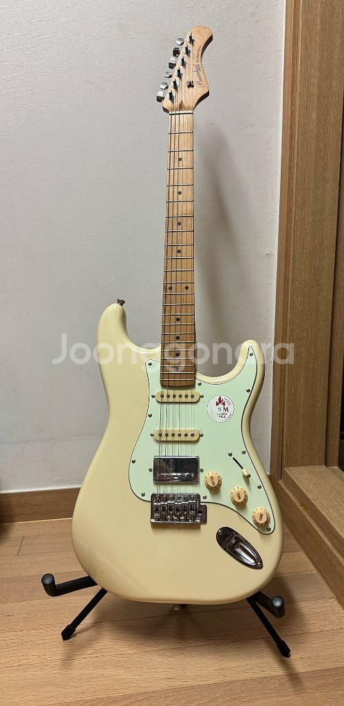 바커스 BST-2-RSM 일렉기타 판매합니다--0