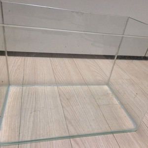물고기 어항