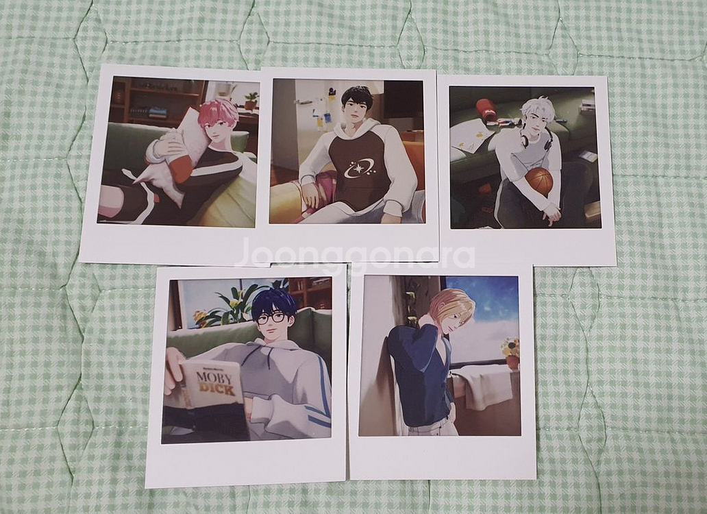 플레이브 웨포럽 앨범 폴라로이드--0