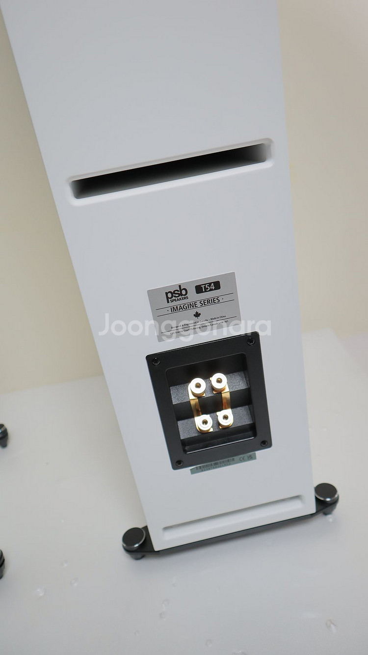 PSB Imagine T54 + 블루사운드 파워노드 3--4