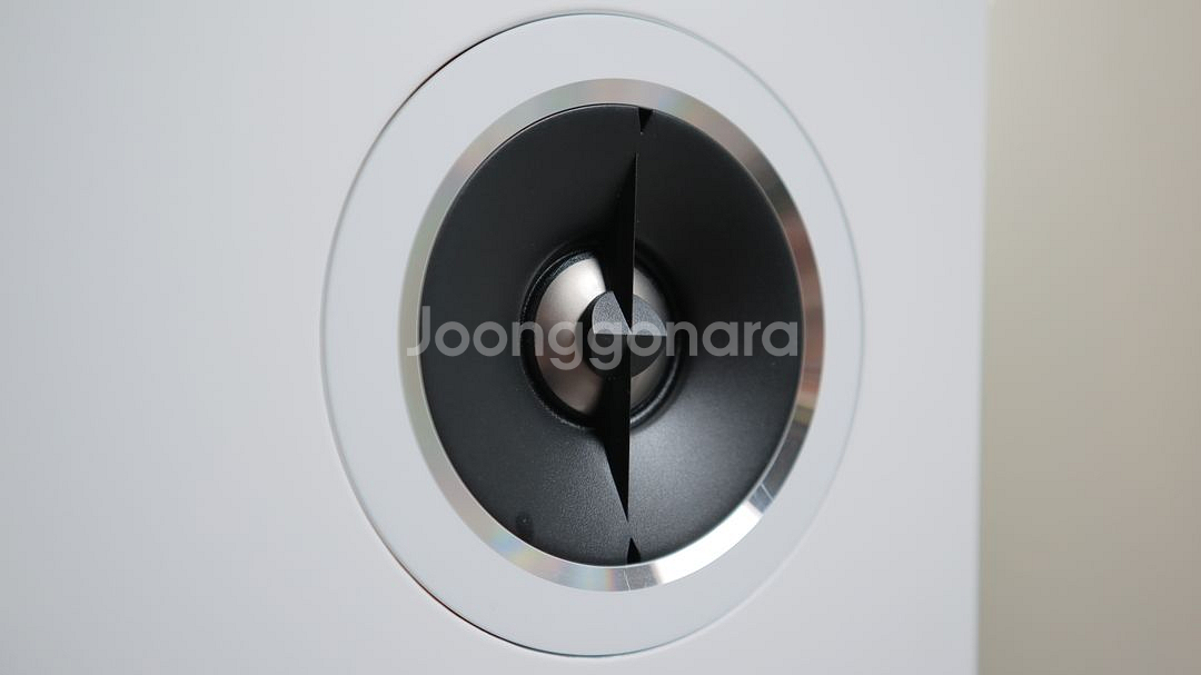 PSB Imagine T54 + 블루사운드 파워노드 3--3