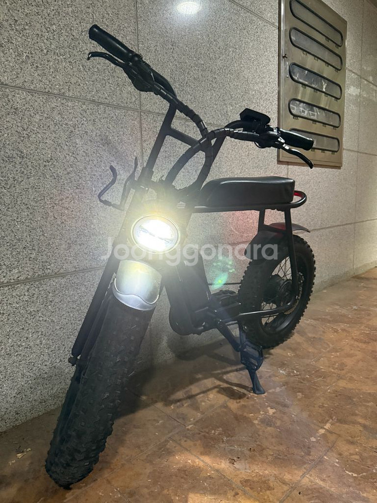 모페즈 350w--1