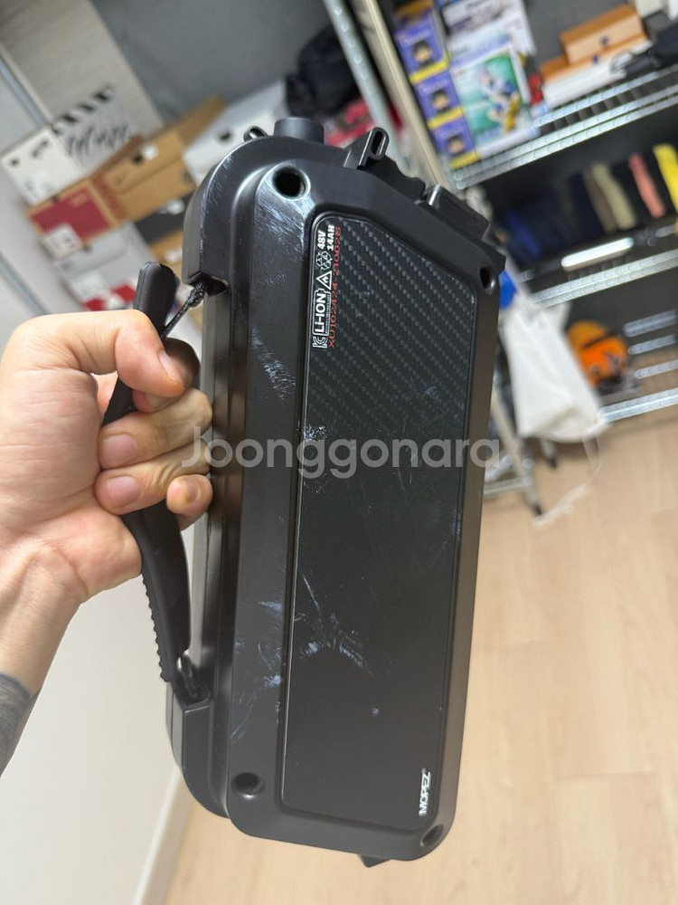 모페즈 350w--8