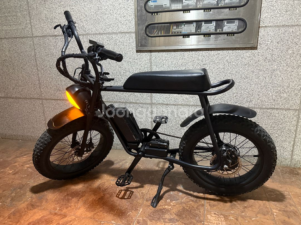 모페즈 350w--4