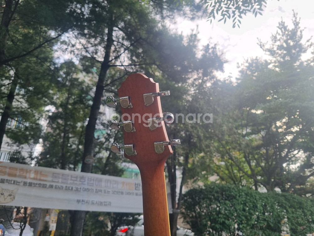 한국산 크래프터 탑솔리드 통기타 입문용 중급용 기타--4