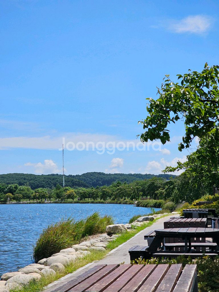 인스타360 마이크어댑터 개인구매--0