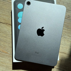 iPad mini 6