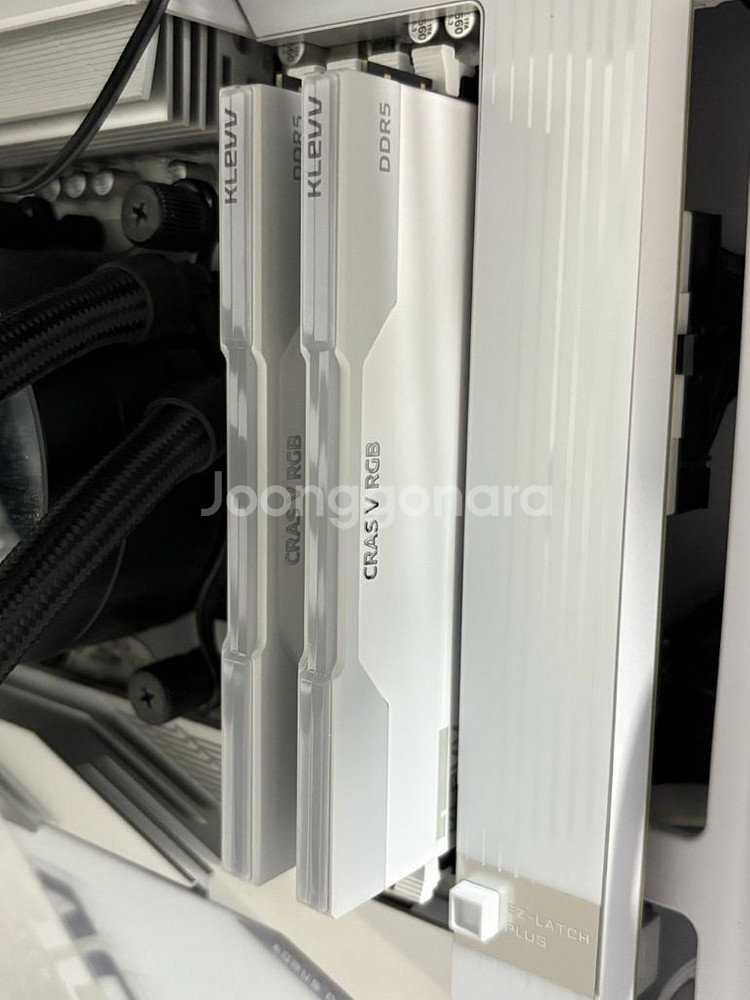 에쎈코어 클레브 DDR5 6000 CL28 32GB--0