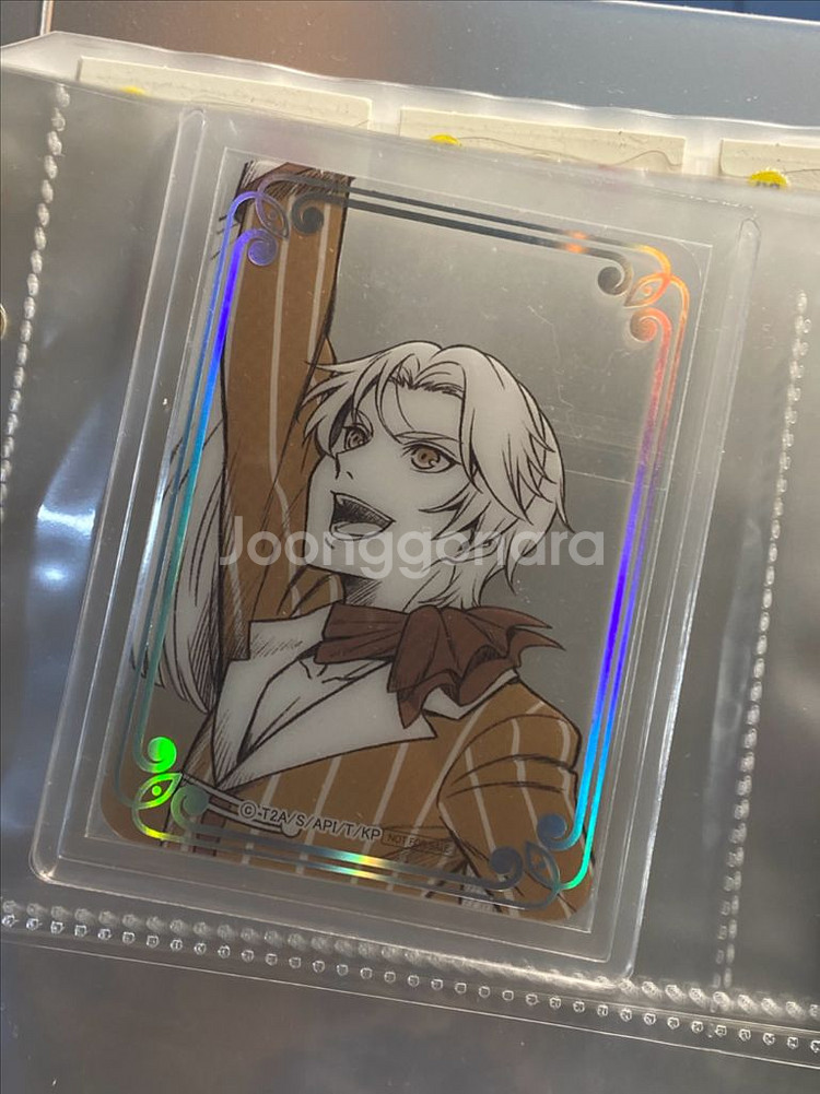 킹프리 킹투어 메박 2주차 히지리 백루한 투명포카--0