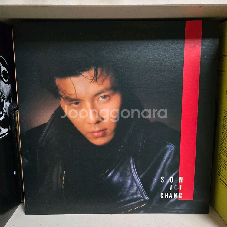 손지창 1집 LP 레코드--1