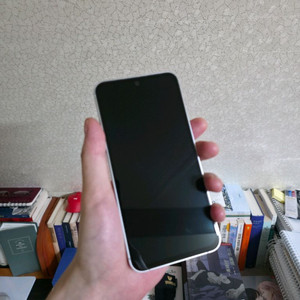 S23 FE 256GB 민트 KT 공기계