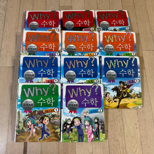 why? 수학