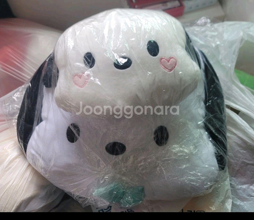 포차쿠션&목쿠션 세트 / 포차코 등받이쿠션--0