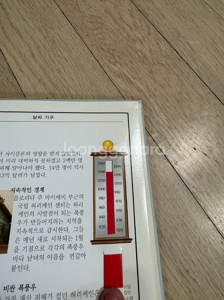 키즈덤 입체 자연과학 탐험 plus 19권 전권--4