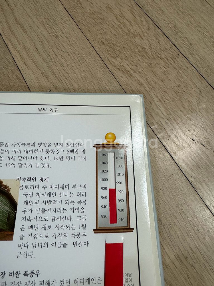 키즈덤 입체 자연과학 탐험 plus 19권 전권--5