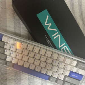 win60he pro max 래피드트리거 키보드