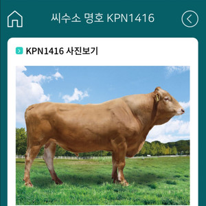 KPN1416판매합니다.