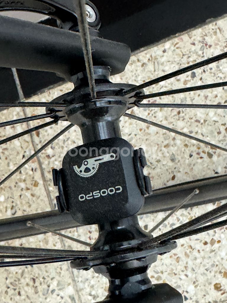 사바 풀카본 로드 콜로라도 5s--5