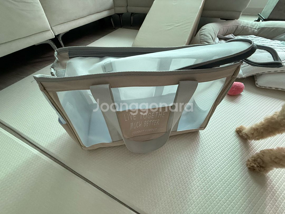 팻츠랜드 이동가방M사이즈, 메쉬이동가방--3