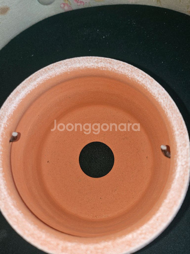 아뜨리움 곰돌이 핸들팟--3