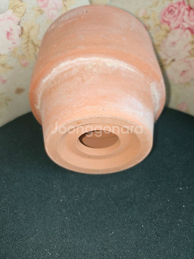 아뜨리움 선인장팟--2