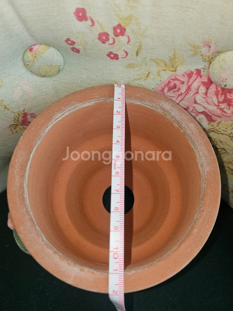 아뜨리움 선인장팟--4