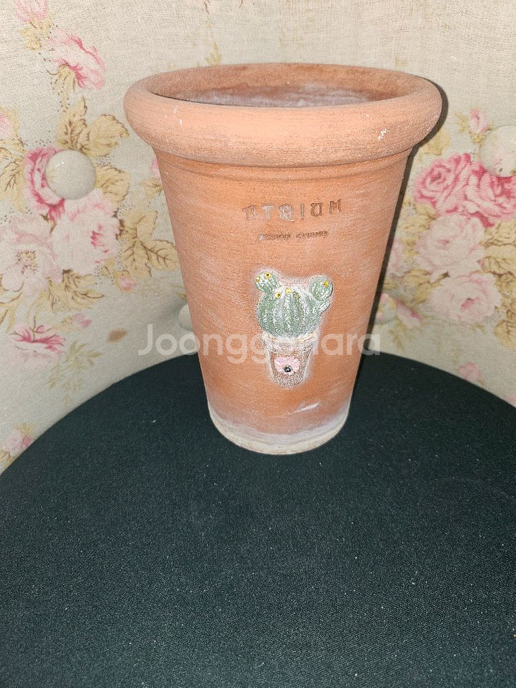 아뜨리움 선인장롱팟--0