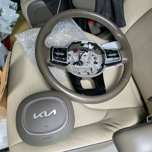 카니발ka4핸들(풀옵) 이미지